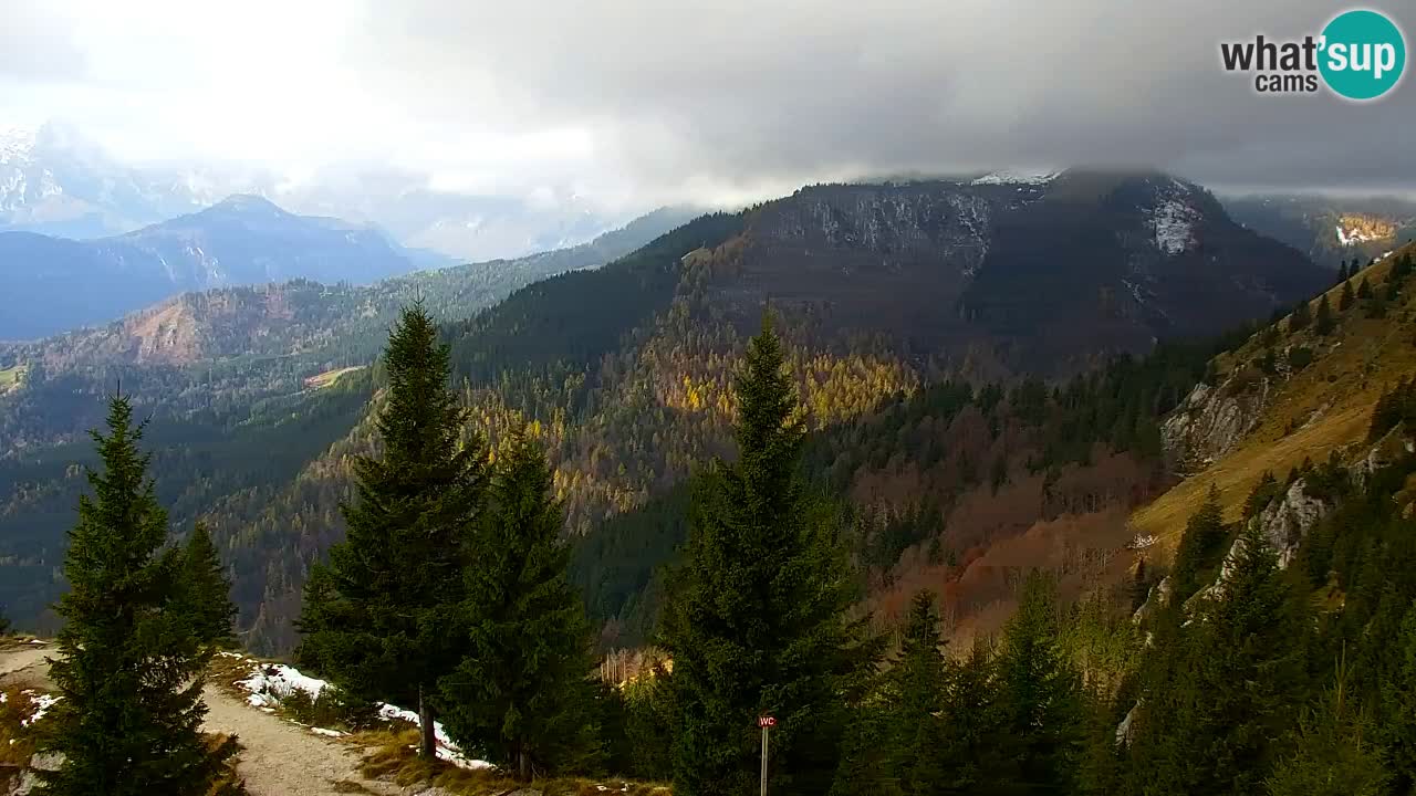 Webcam Koča na Golici (1582 m) – Slovenia