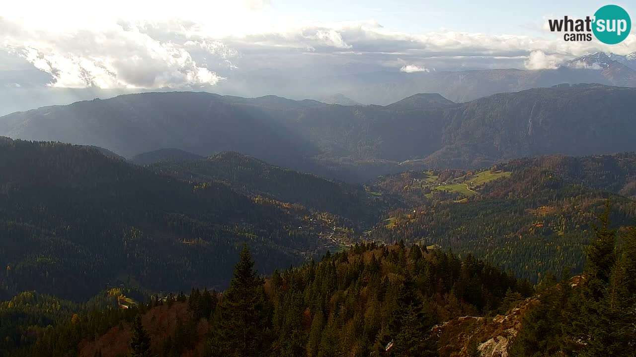 Web kamera Koča na Golici (1582 m) – Slovenija