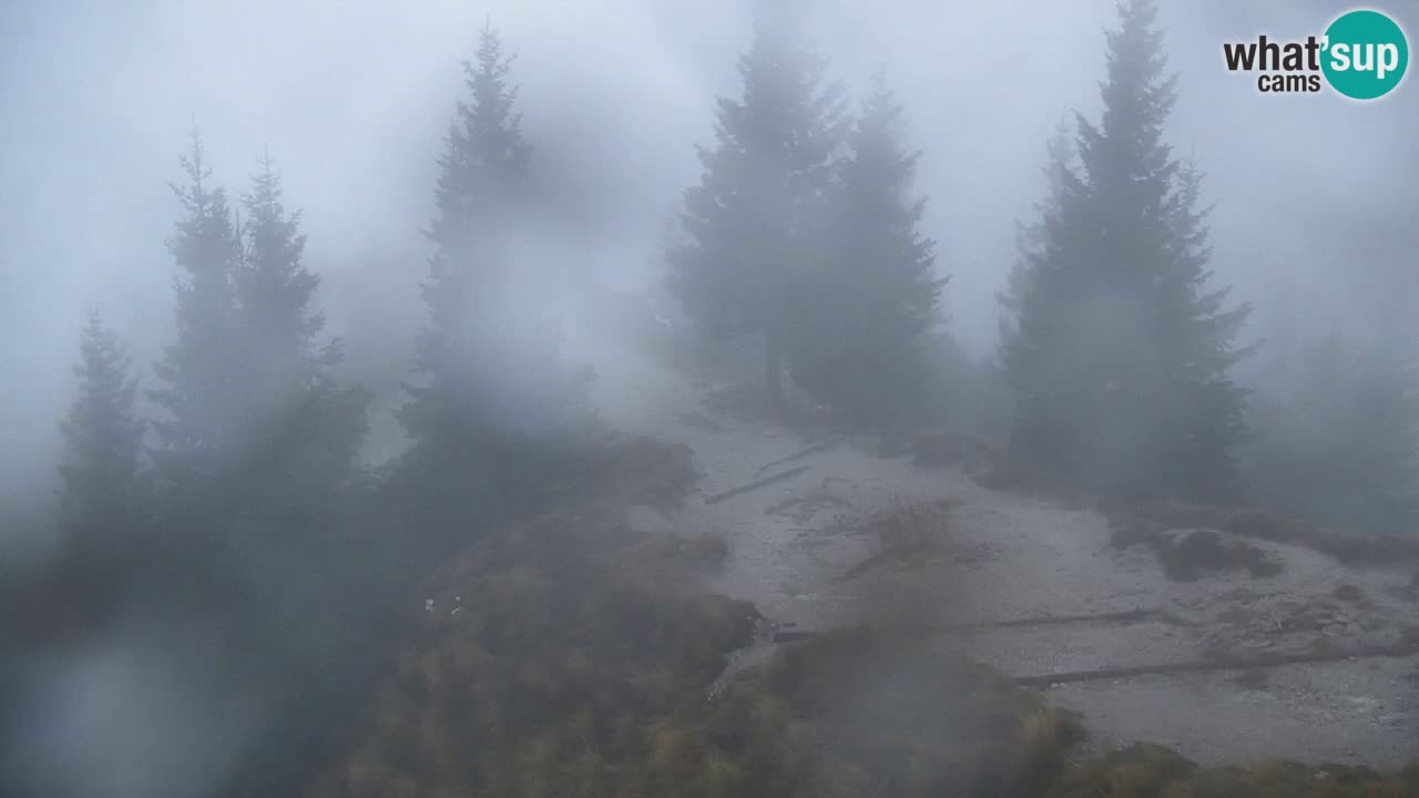 Web kamera Koča na Golici (1582 m) – Slovenija