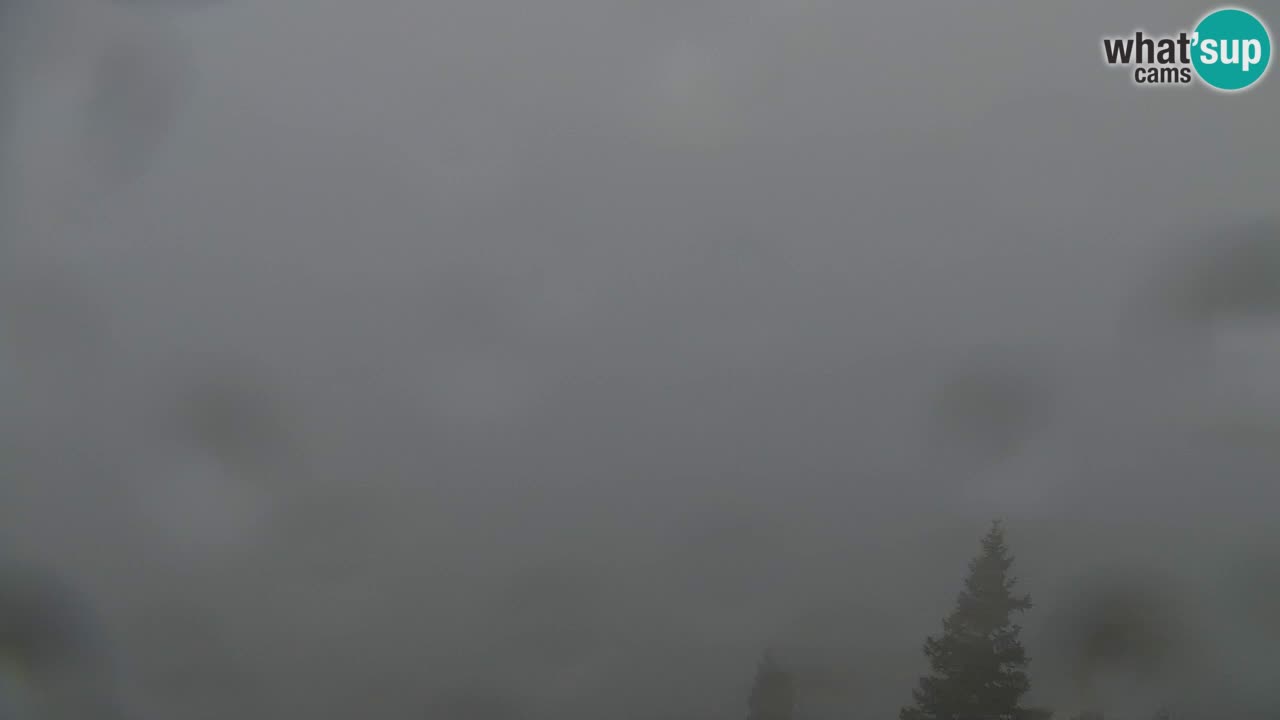 Webcam Chalet sur Golica (1582 m) – Slovénie