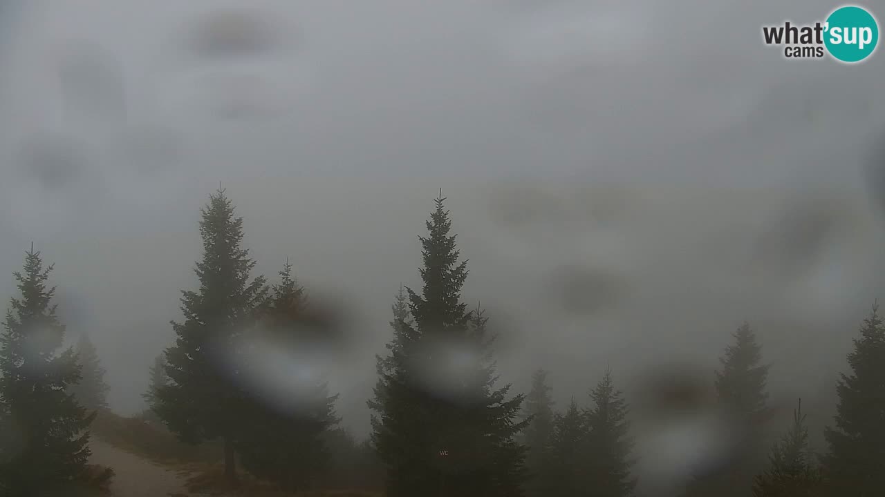 Spletna kamera Koča na Golici (1582 m) – Jesenice