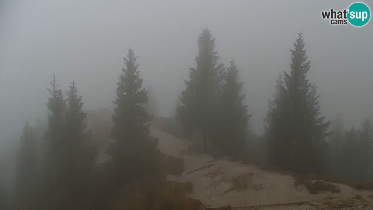 Webcam Koča na Golici (1582 m) – Slovenia