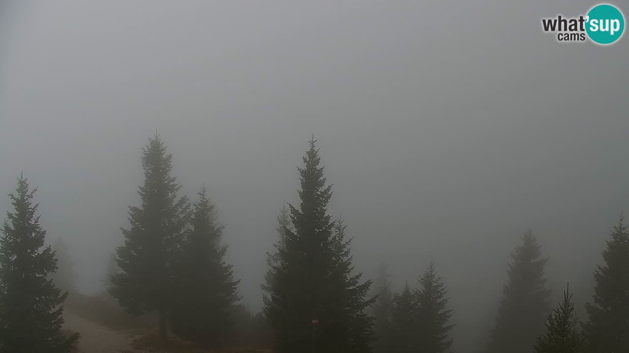 Webcam na Golici – Baita di montagna (1582 m) – Slovenia