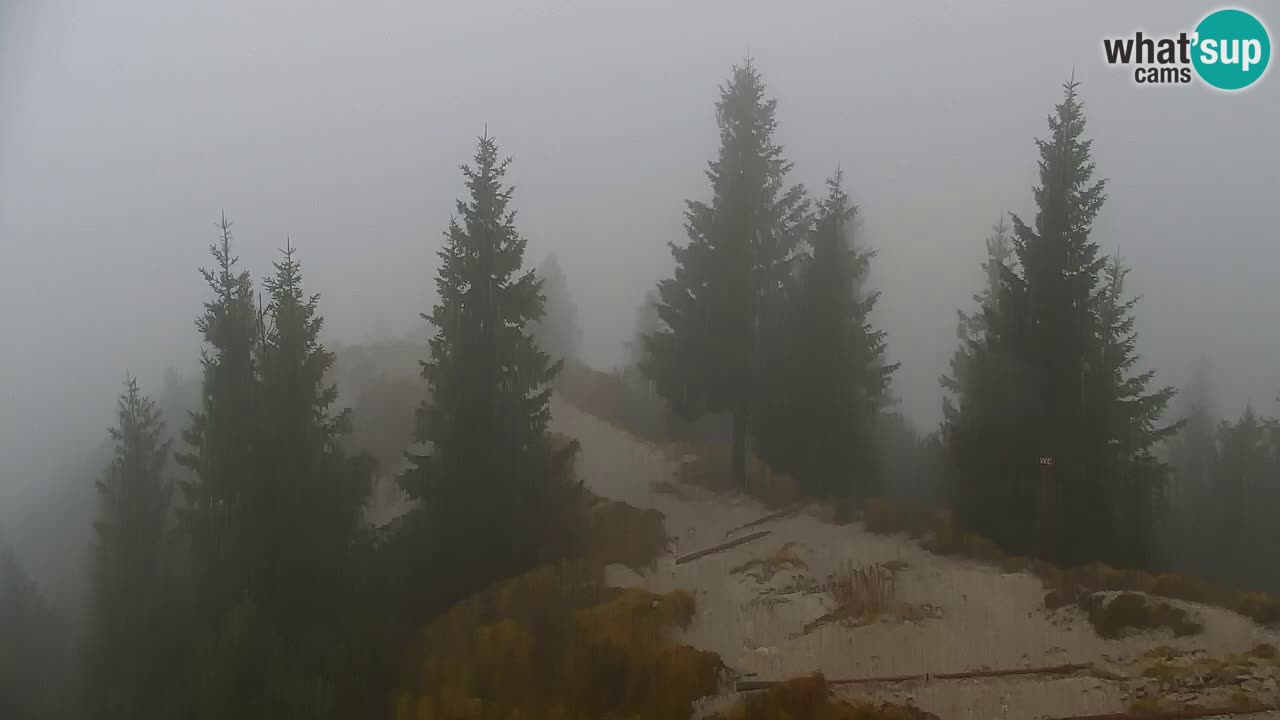 Web kamera Koča na Golici (1582 m) – Slovenija