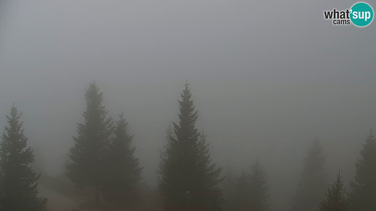 Webcam Koča na Golici (1582 m) – Slovenia