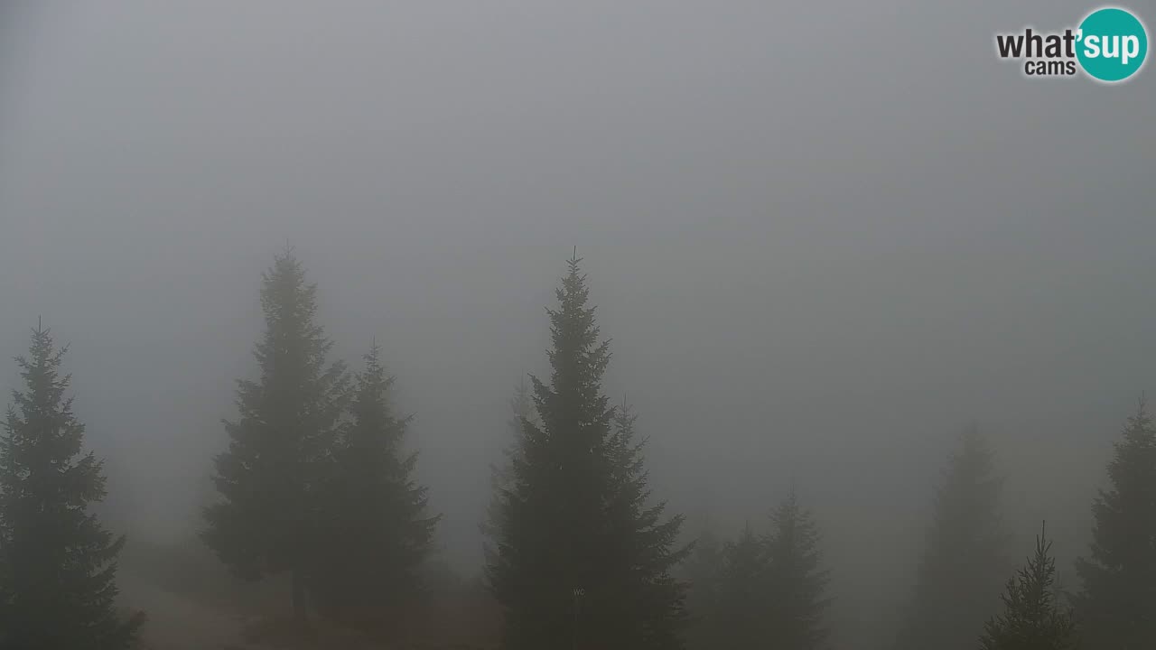 Webcam na Golici – Baita di montagna (1582 m) – Slovenia