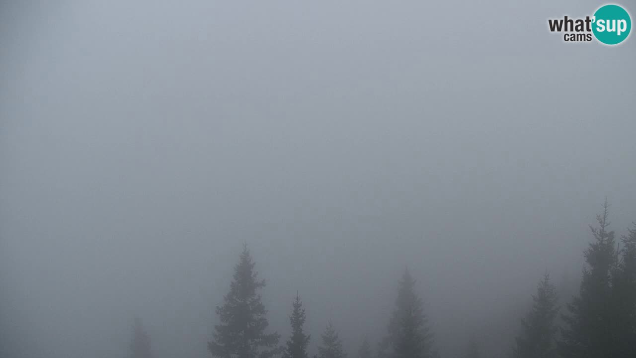 Web kamera Koča na Golici (1582 m) – Slovenija