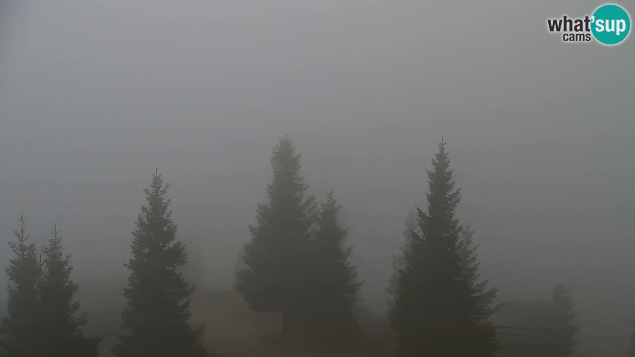 Web kamera Koča na Golici (1582 m) – Slovenija