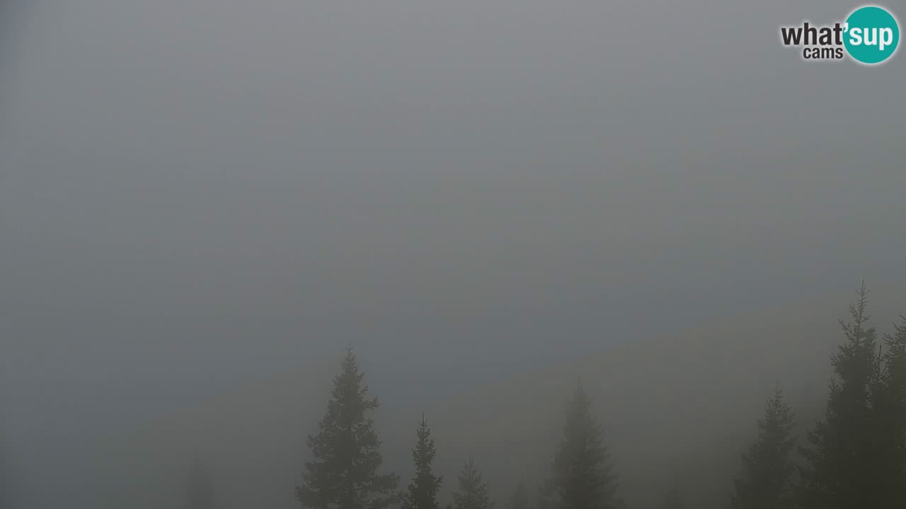 Spletna kamera Koča na Golici (1582 m) – Jesenice