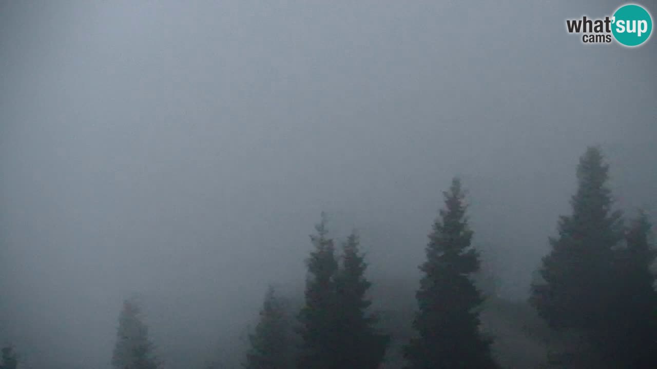 Spletna kamera Koča na Golici (1582 m) – Jesenice