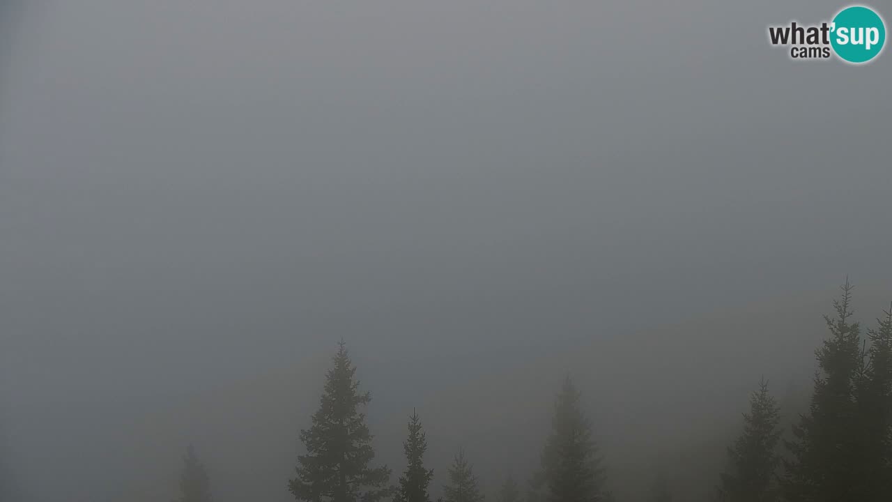 Webcam Chalet sur Golica (1582 m) – Slovénie