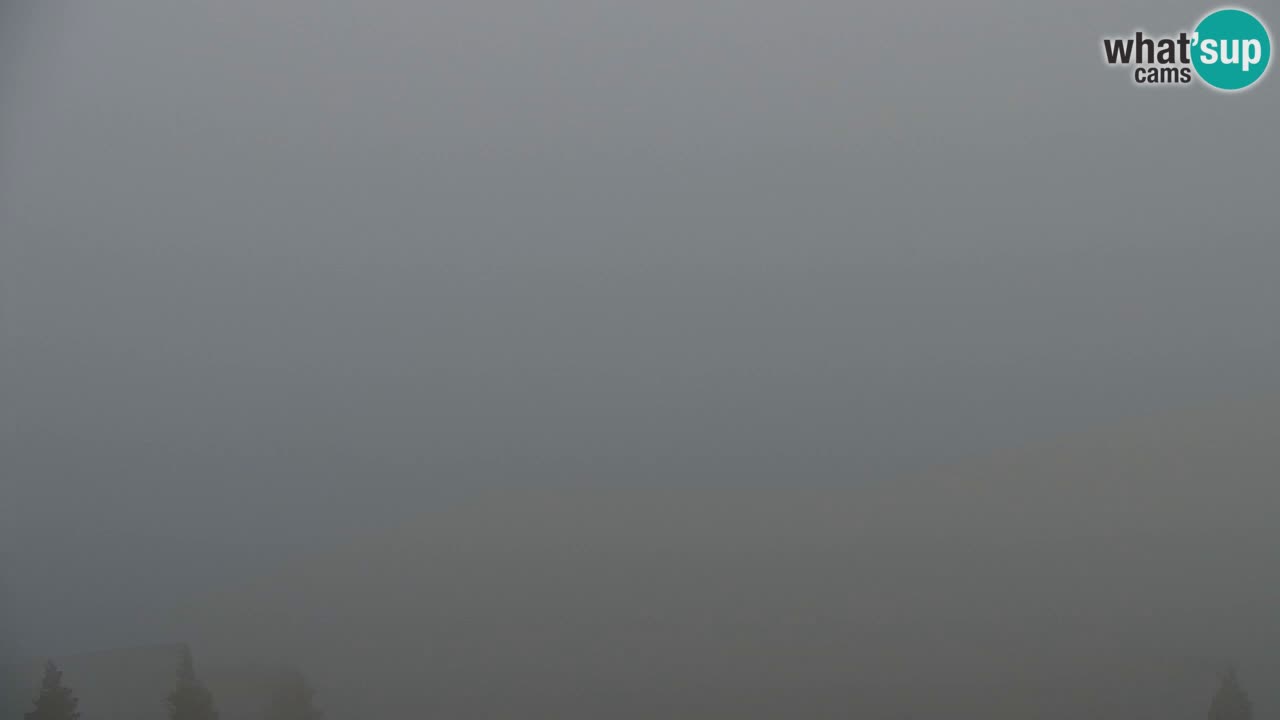 Webcam Koča na Golici (1582 m) – Slovenia