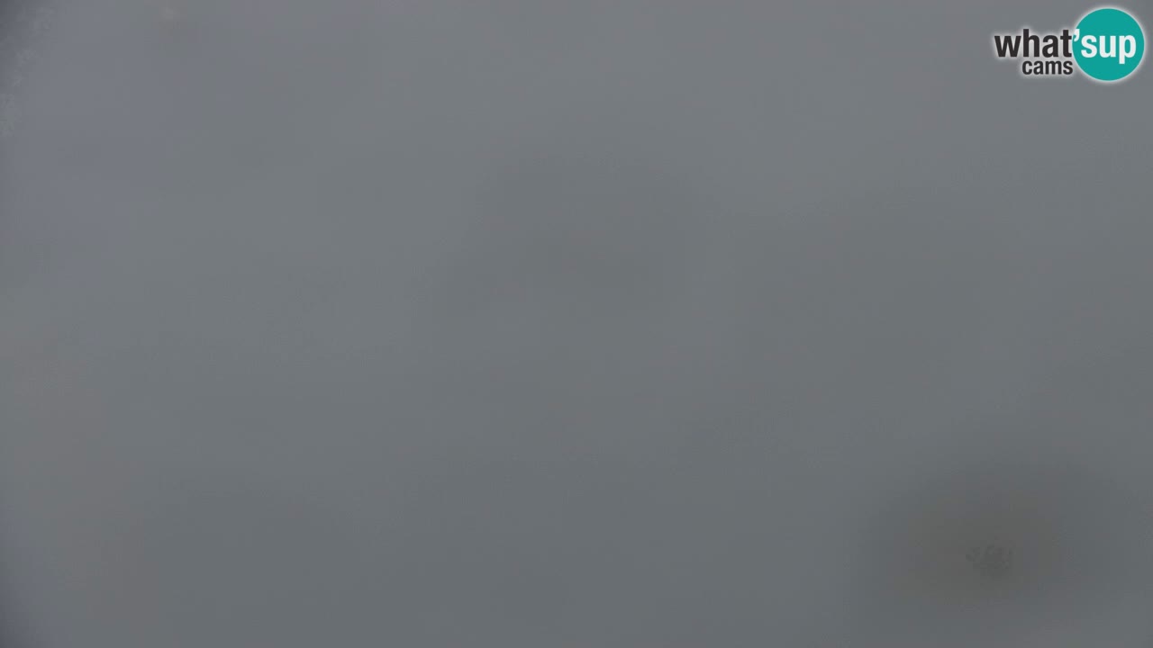 Webcam Koča na Golici (1582 m) – Slovenia