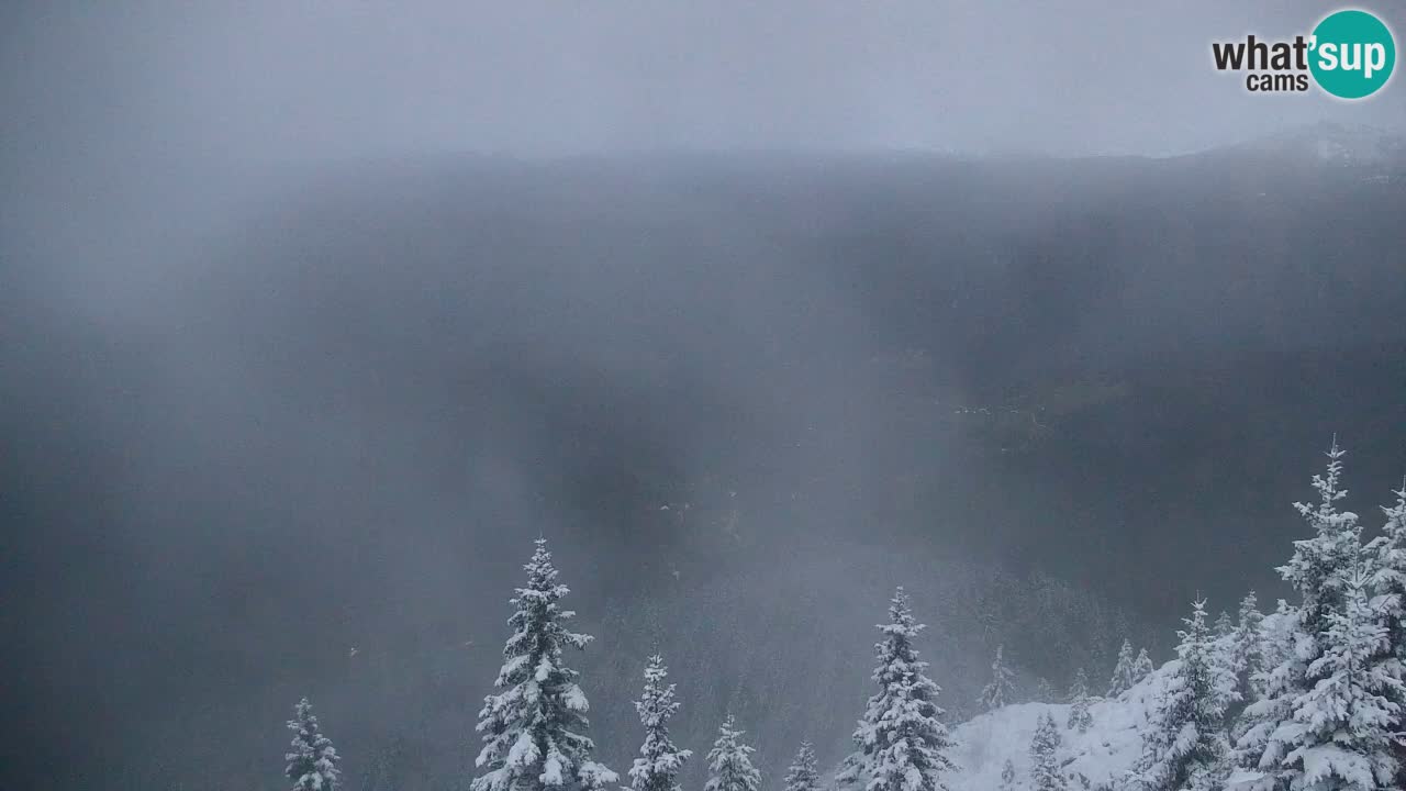 Koča na Golici Webcam (1582 m) – Slowenien