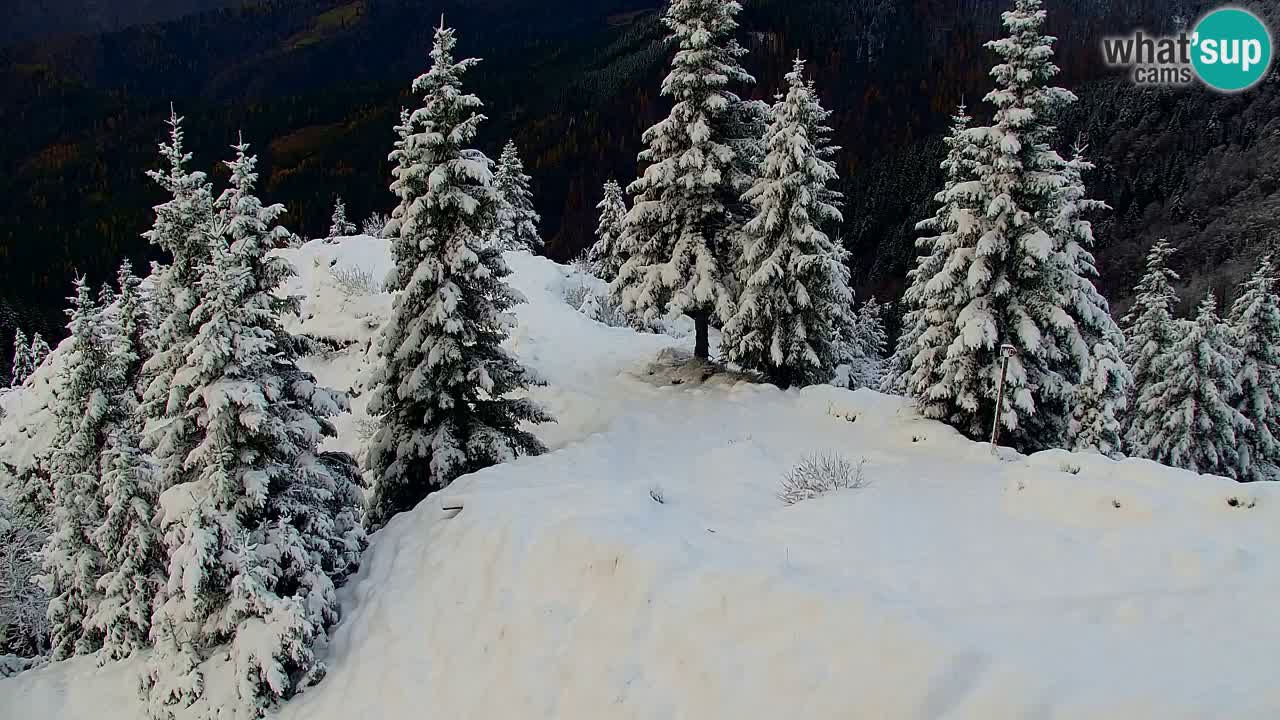 Web kamera Koča na Golici (1582 m) – Slovenija