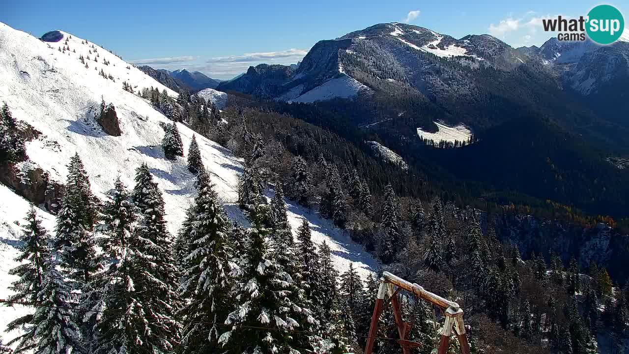 Koča na Golici Webcam (1582 m) – Slowenien