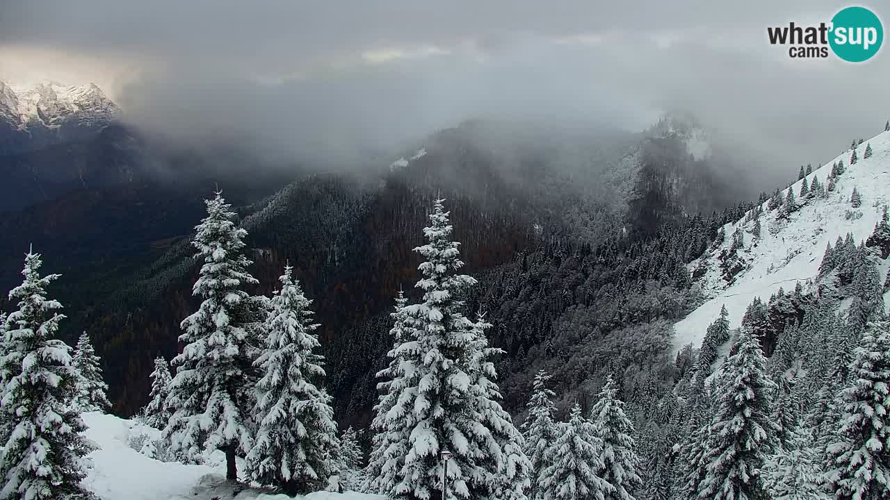 Spletna kamera Koča na Golici (1582 m) – Jesenice