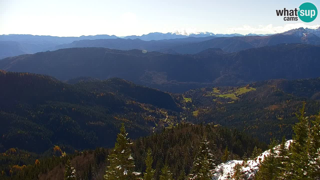 Web kamera Koča na Golici (1582 m) – Slovenija