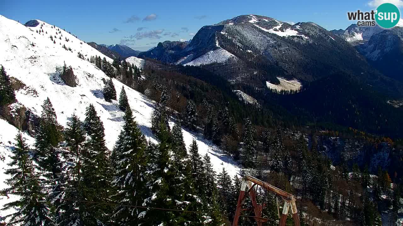 Web kamera Koča na Golici (1582 m) – Slovenija