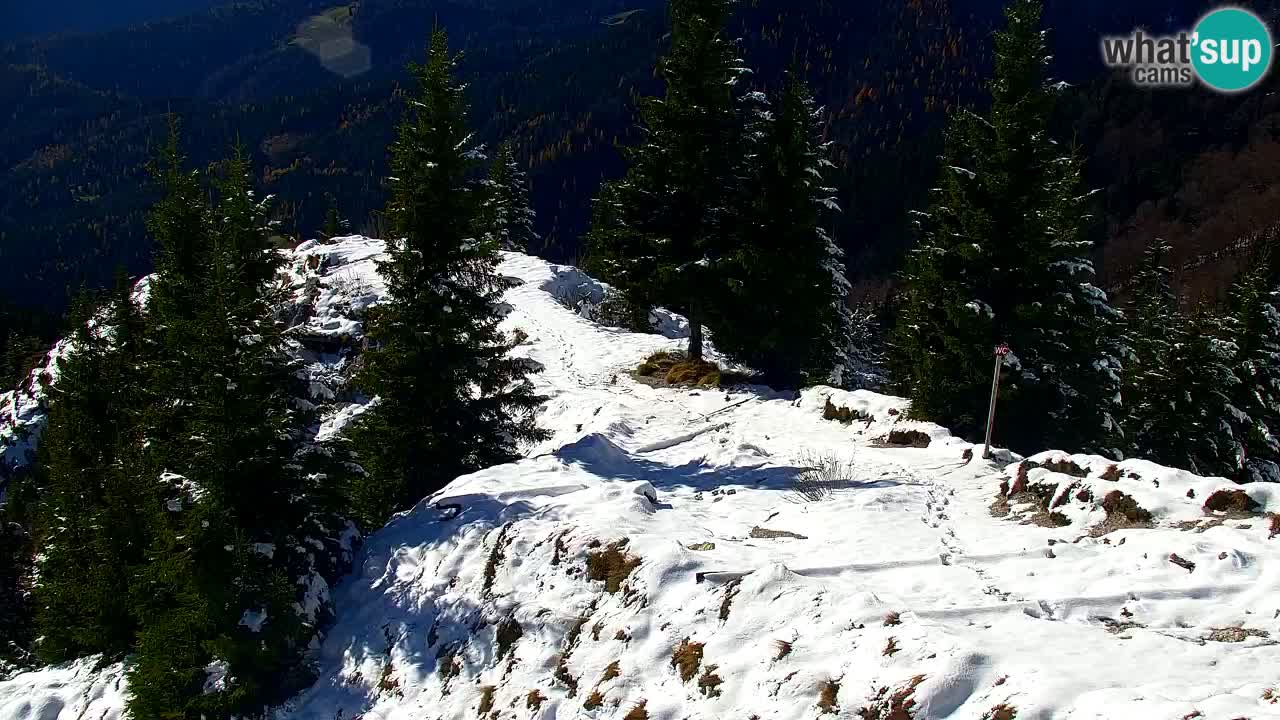Webcam na Golici – Baita di montagna (1582 m) – Slovenia
