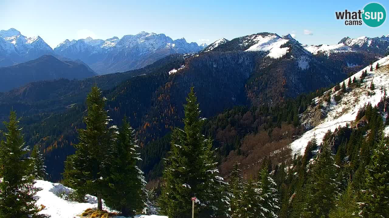 Koča na Golici Webcam (1582 m) – Slowenien