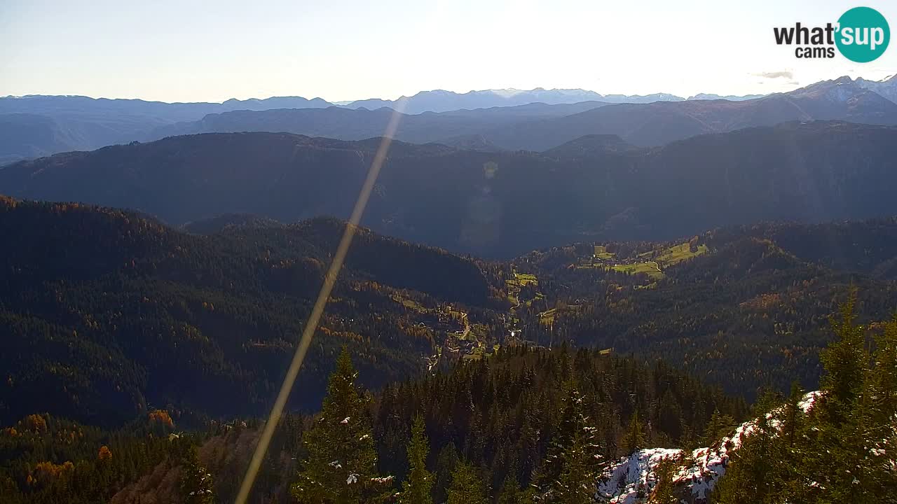 Webcam Koča na Golici (1582 m) – Slovenia