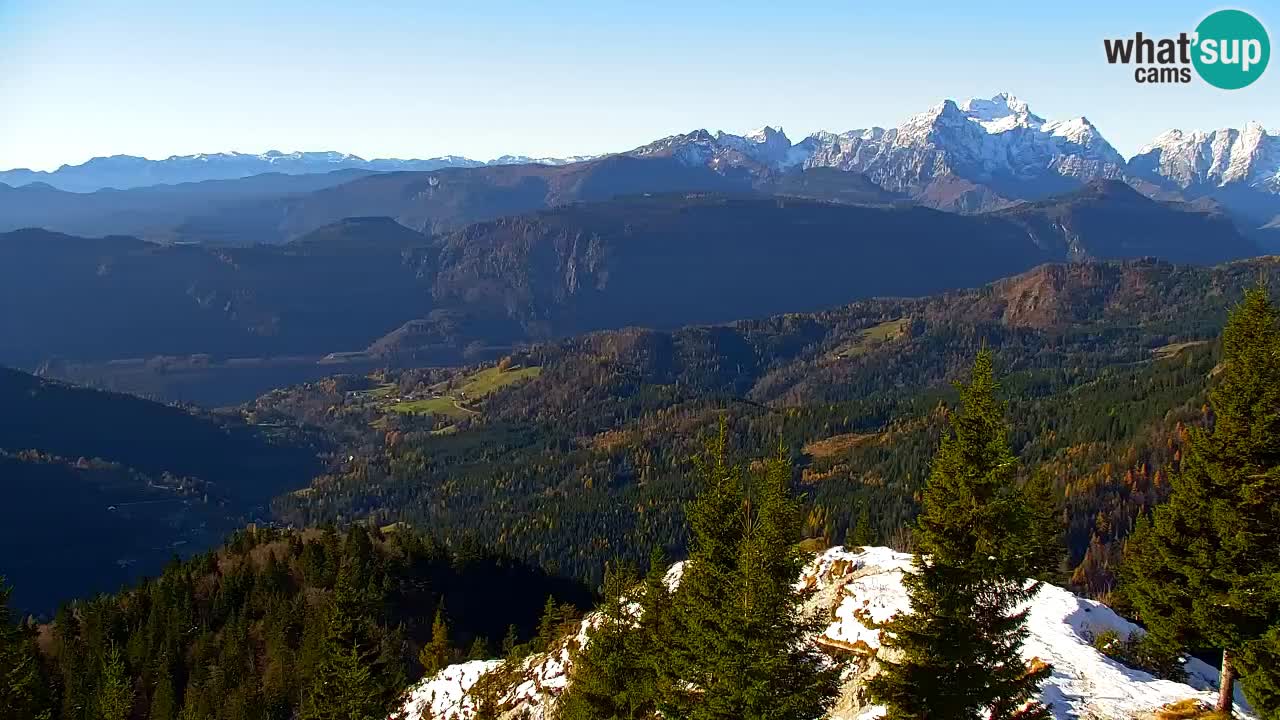 Koča na Golici Webcam (1582 m) – Slowenien