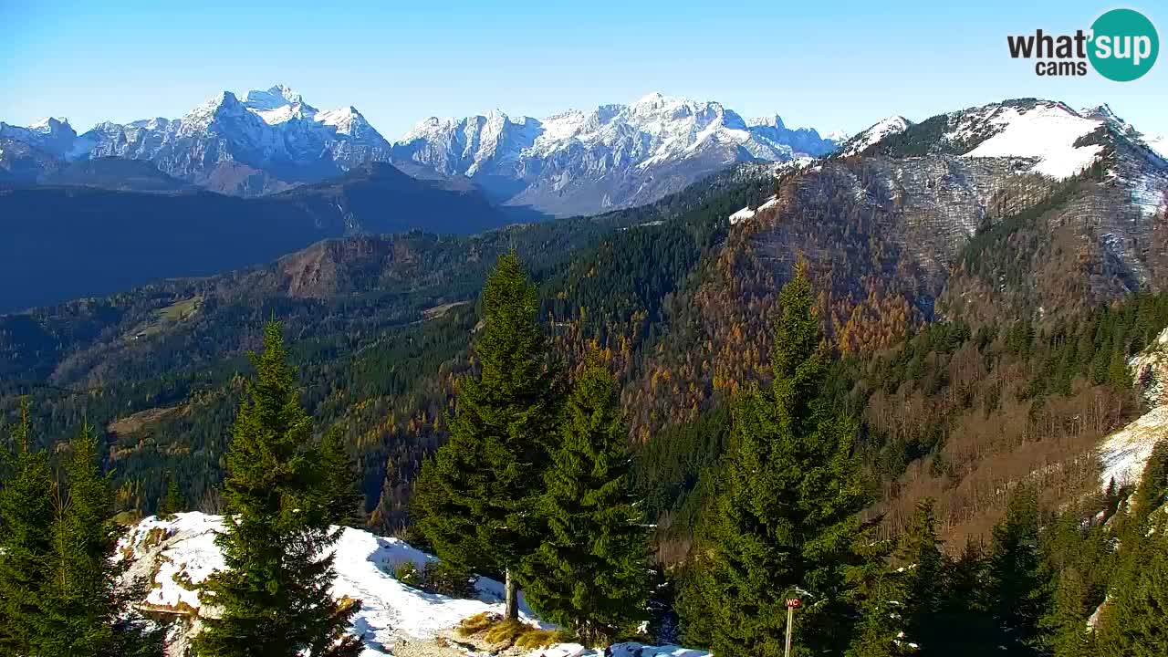 Koča na Golici Webcam (1582 m) – Slowenien