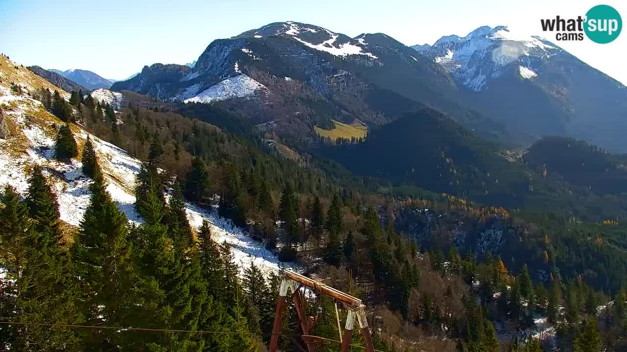 Webcam Koča na Golici (1582 m) – Slovenia