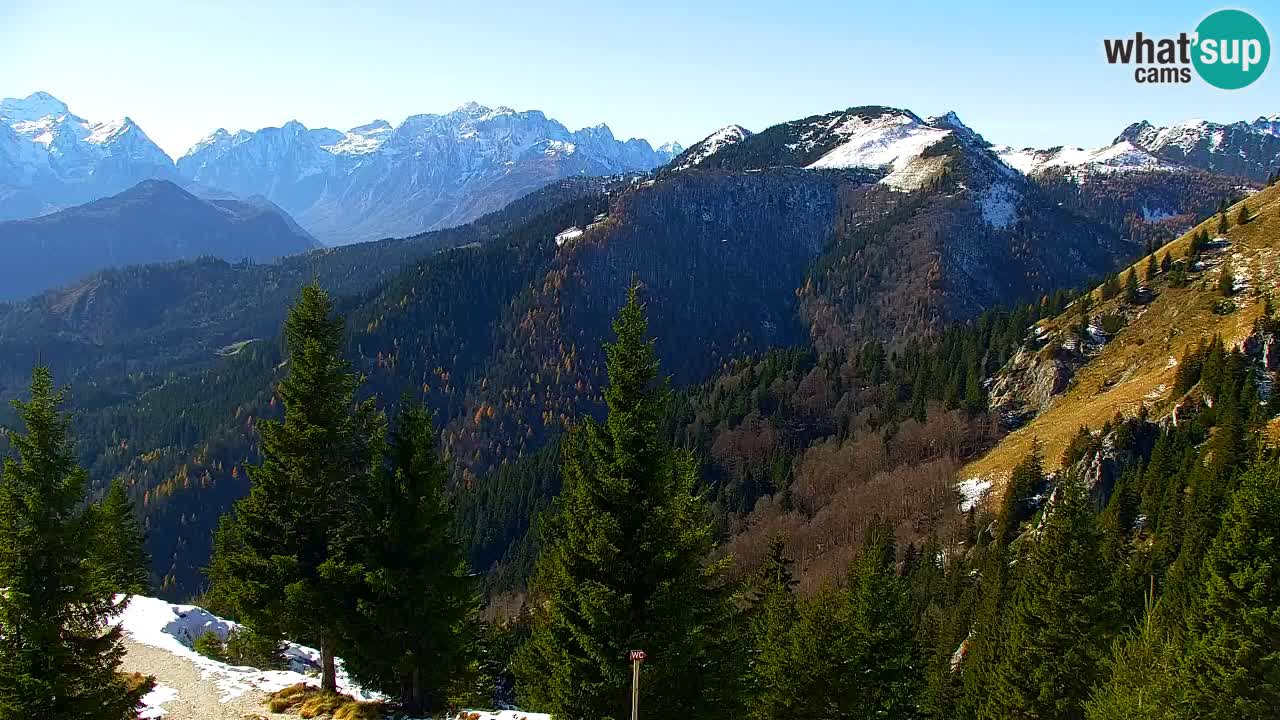 Webcam Koča na Golici (1582 m) – Slovenia