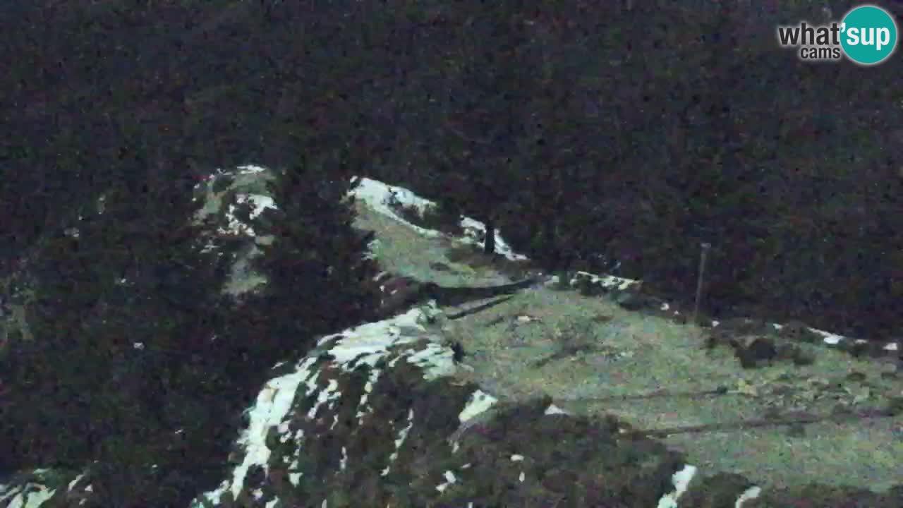 Webcam Koča na Golici (1582 m) – Slovenia