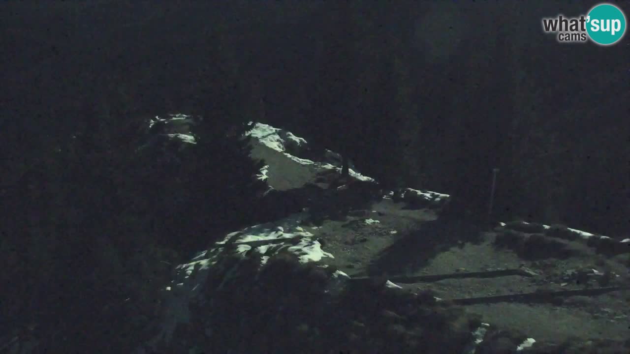 Webcam Koča na Golici (1582 m) – Slovenia