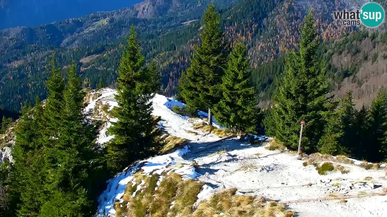 Webcam na Golici – Baita di montagna (1582 m) – Slovenia
