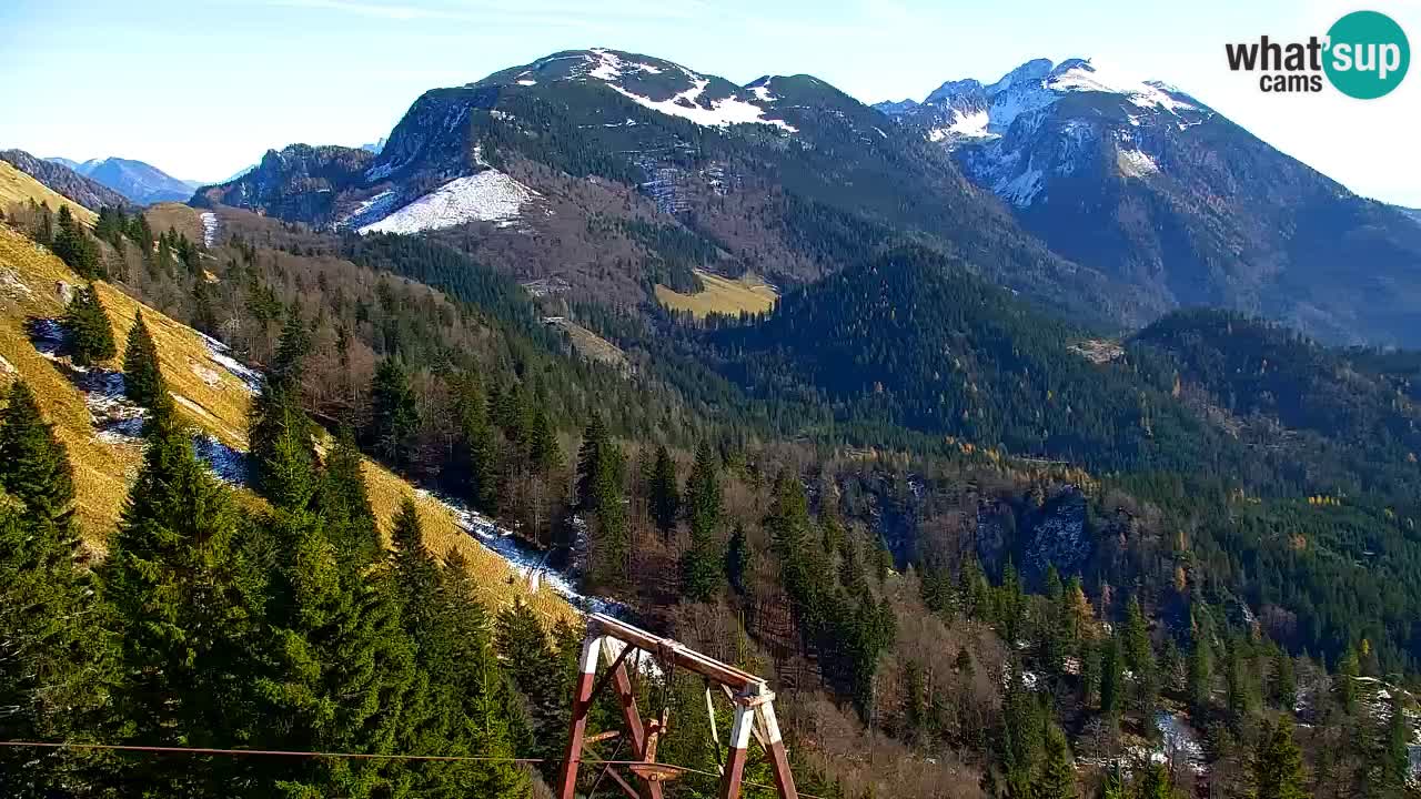 Koča na Golici Webcam (1582 m) – Slowenien
