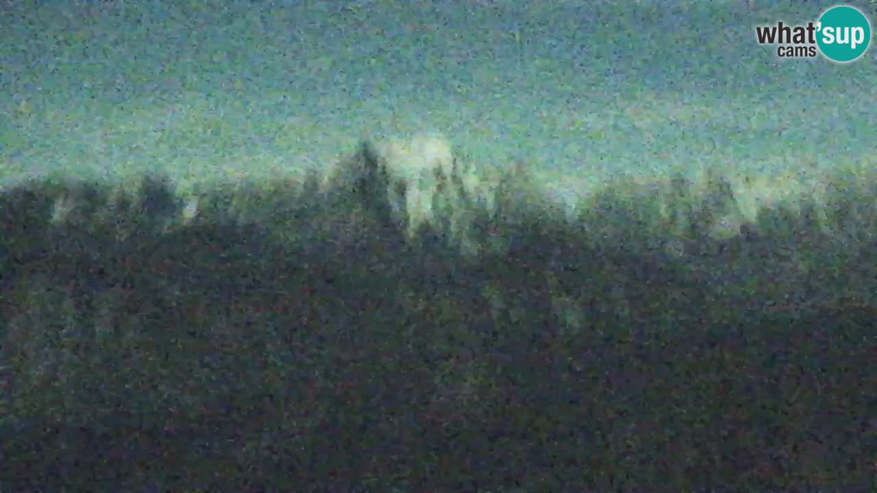 Webcam Koča na Golici (1582 m) – Slovenia