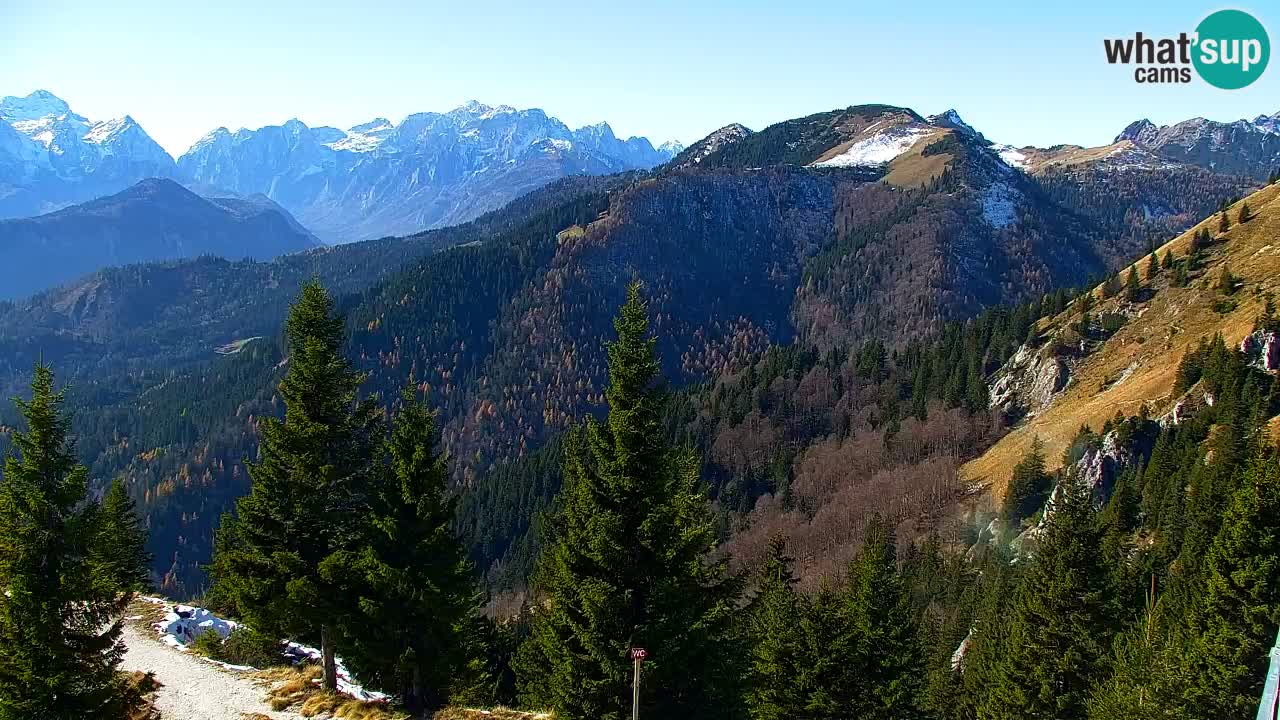 Koča na Golici Webcam (1582 m) – Slowenien