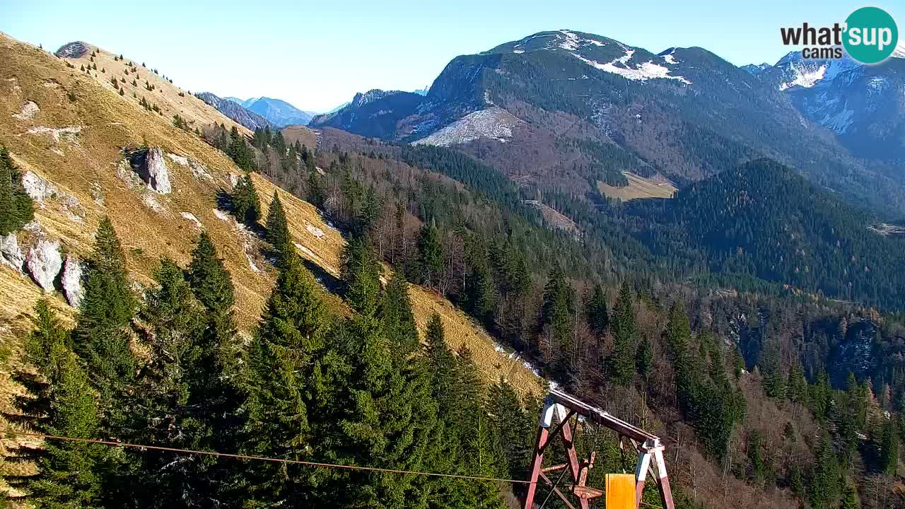 Web kamera Koča na Golici (1582 m) – Slovenija