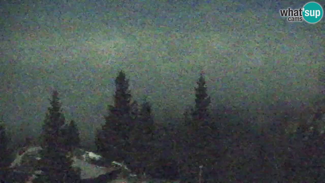 Web kamera Koča na Golici (1582 m) – Slovenija