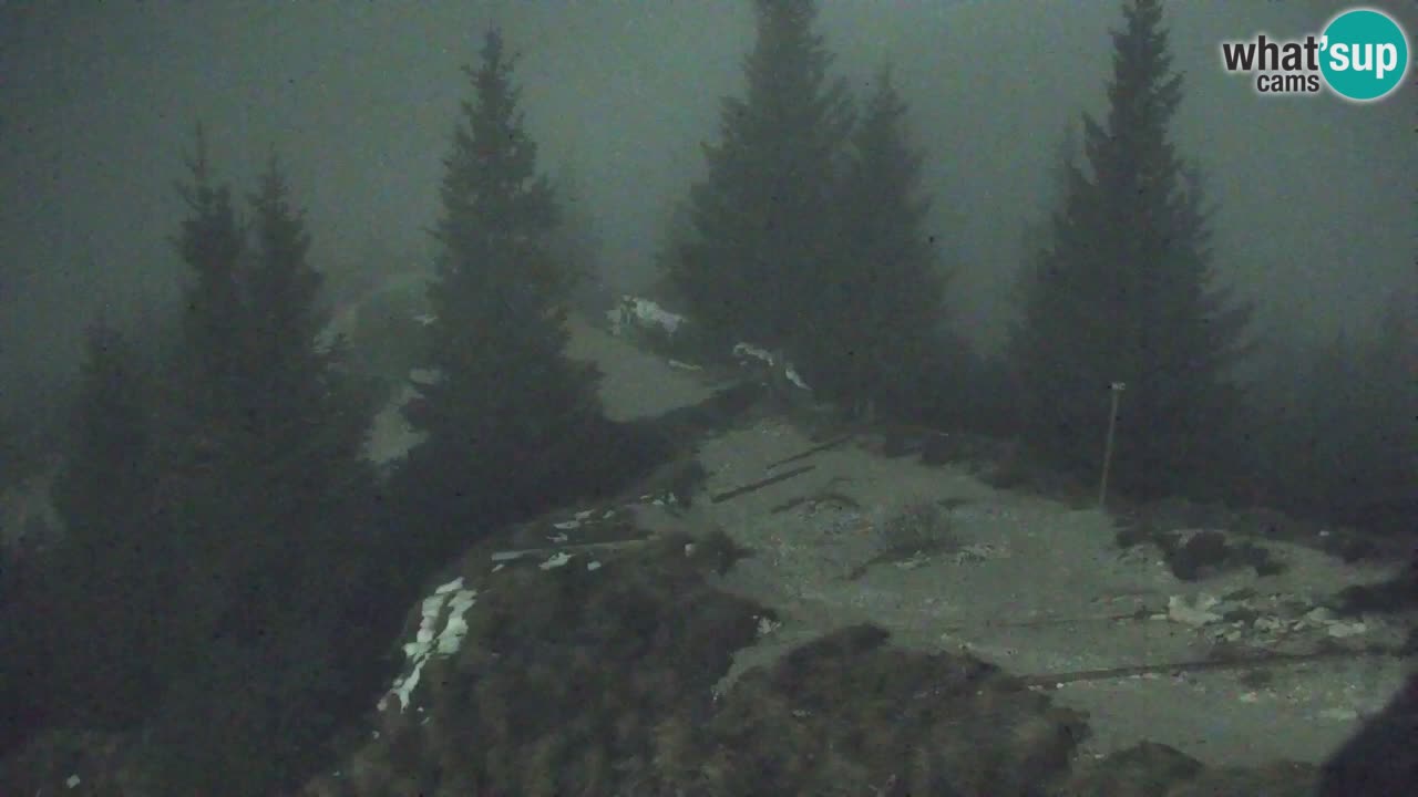 Webcam Koča na Golici (1582 m) – Slovenia