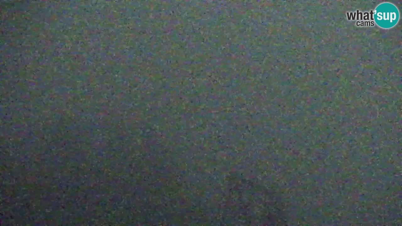 Koča na Golici Webcam (1582 m) – Slowenien