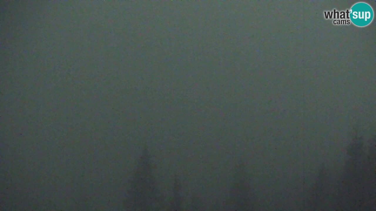 Webcam Koča na Golici (1582 m) – Slovenia