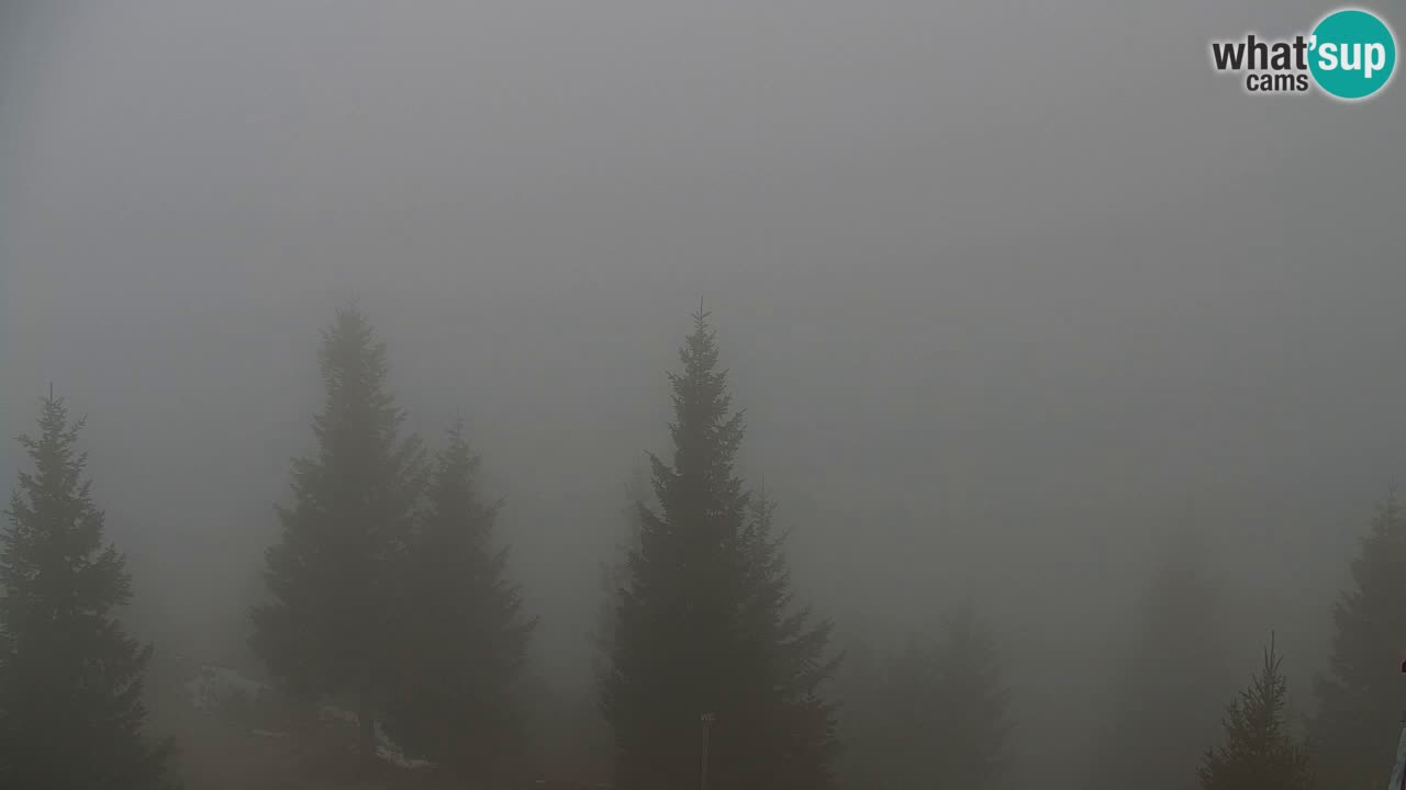 Webcam Chalet sur Golica (1582 m) – Slovénie