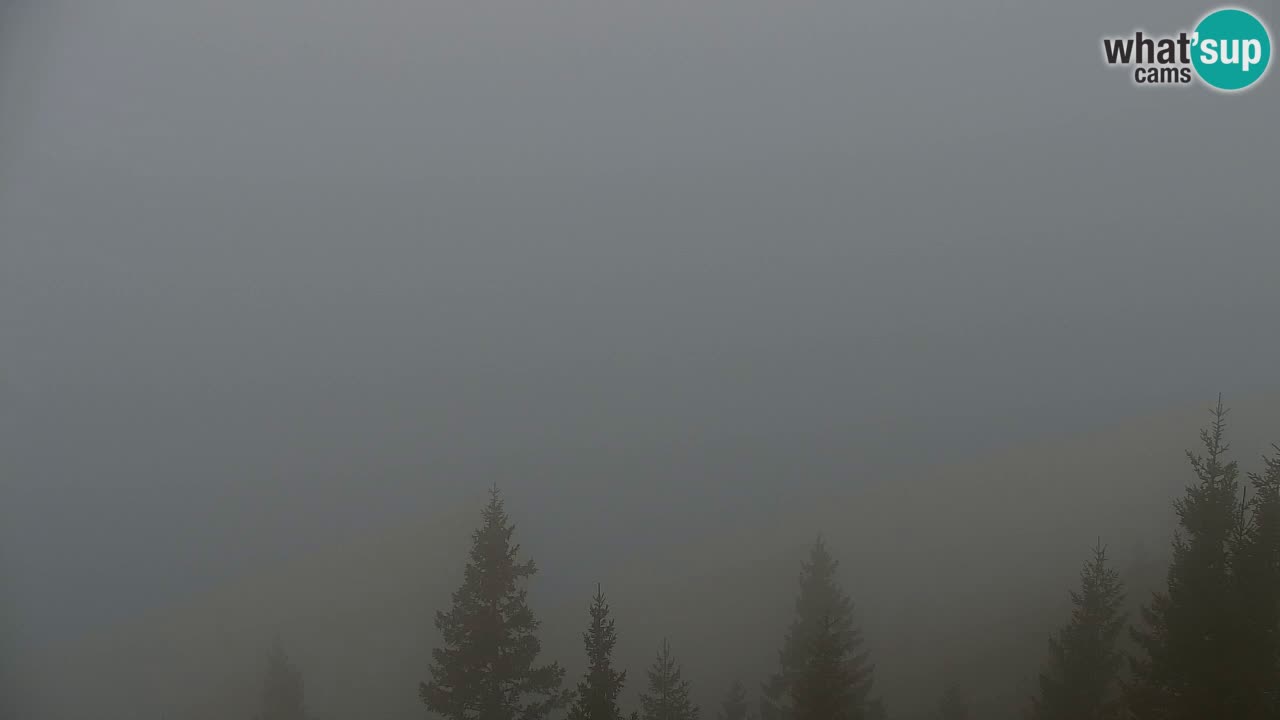 Webcam Koča na Golici (1582 m) – Slovenia