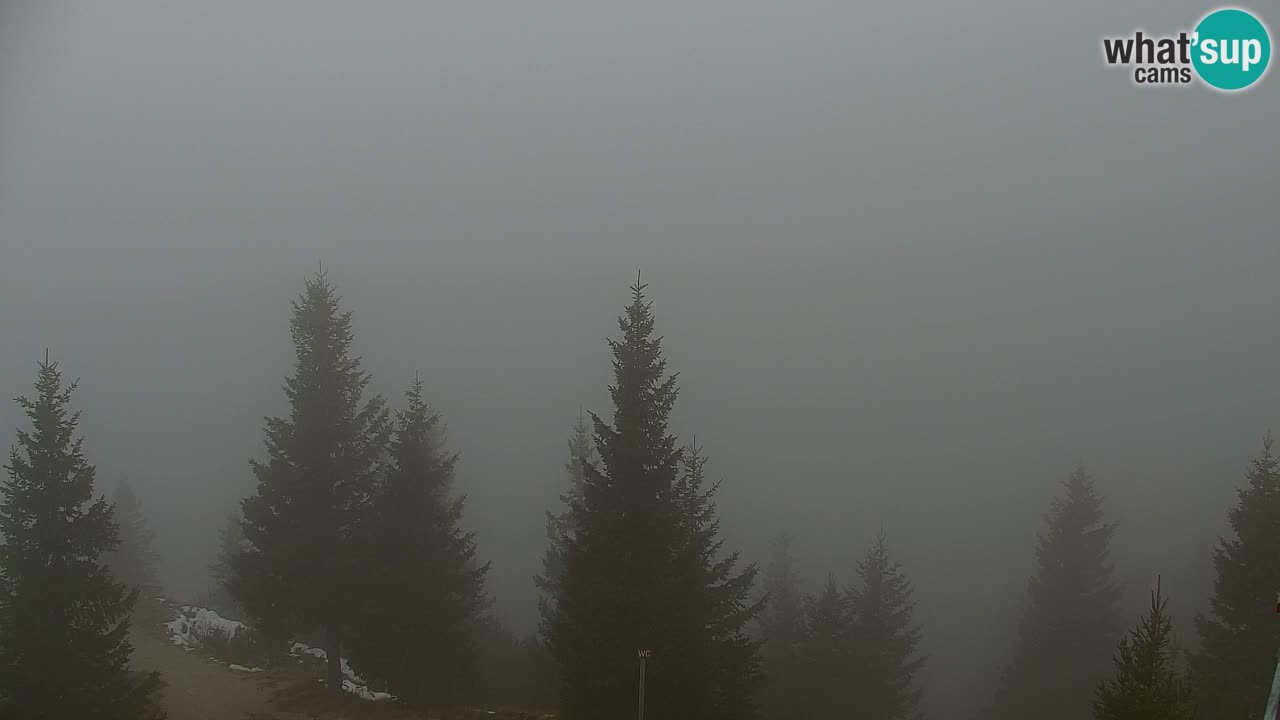 Spletna kamera Koča na Golici (1582 m) – Jesenice