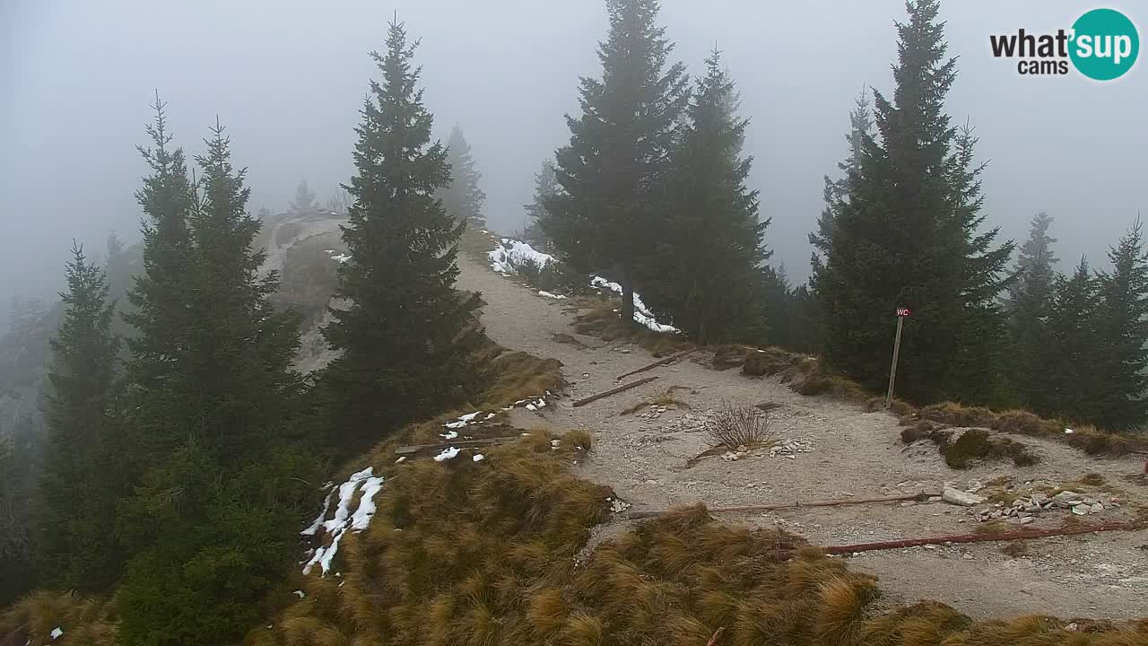 Spletna kamera Koča na Golici (1582 m) – Jesenice