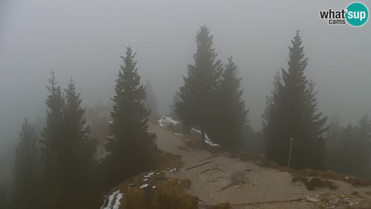 Webcam Koča na Golici (1582 m) – Slovenia