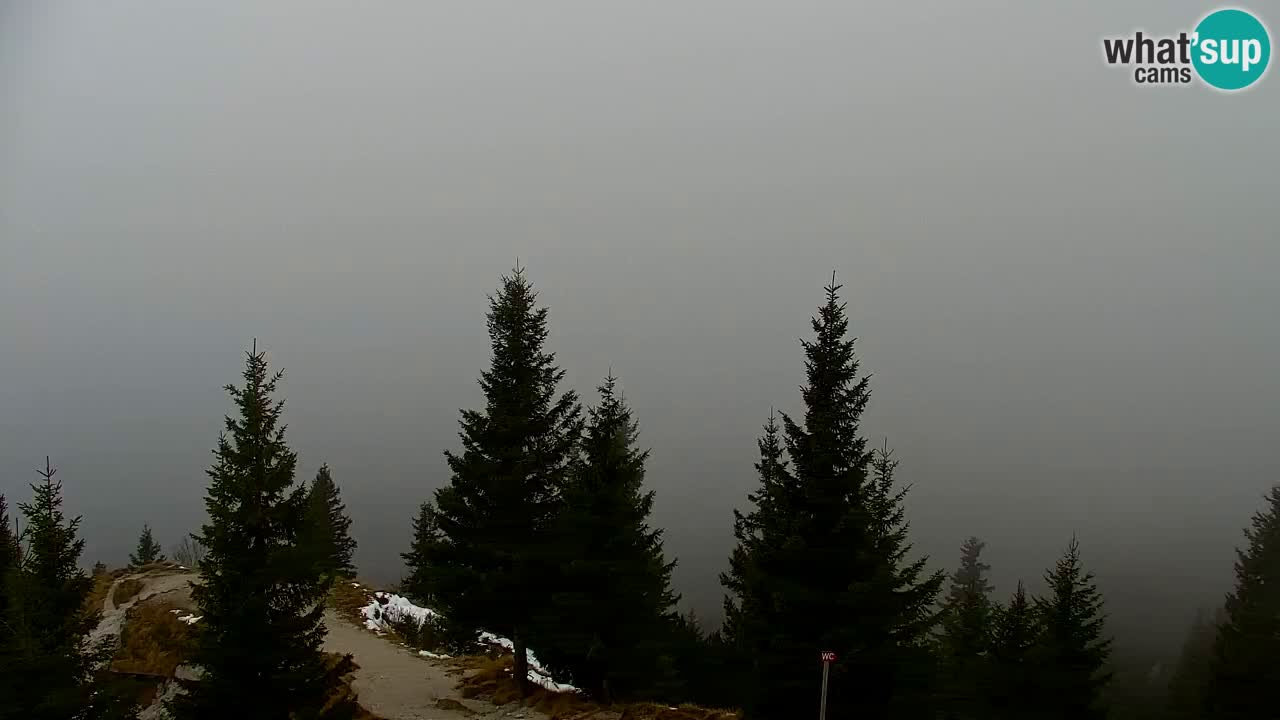 Webcam na Golici – Baita di montagna (1582 m) – Slovenia