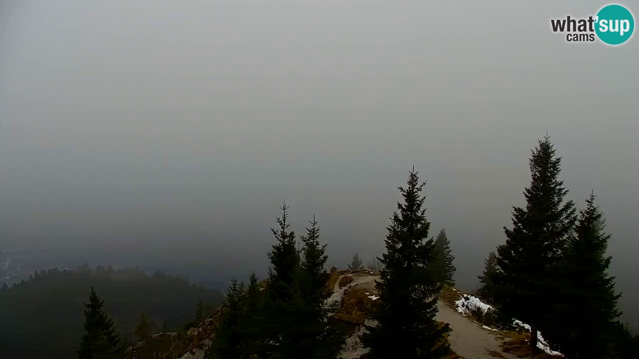 Koča na Golici Webcam (1582 m) – Slowenien