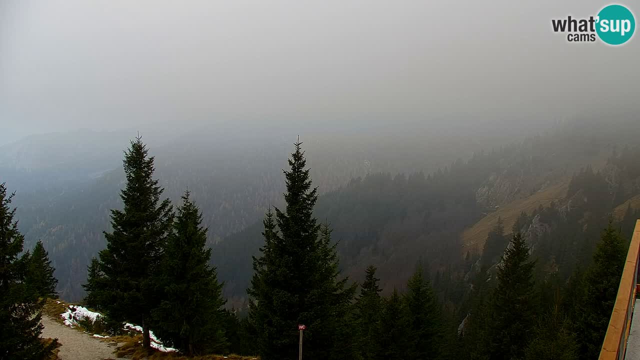 Webcam Koča na Golici (1582 m) – Slovenia
