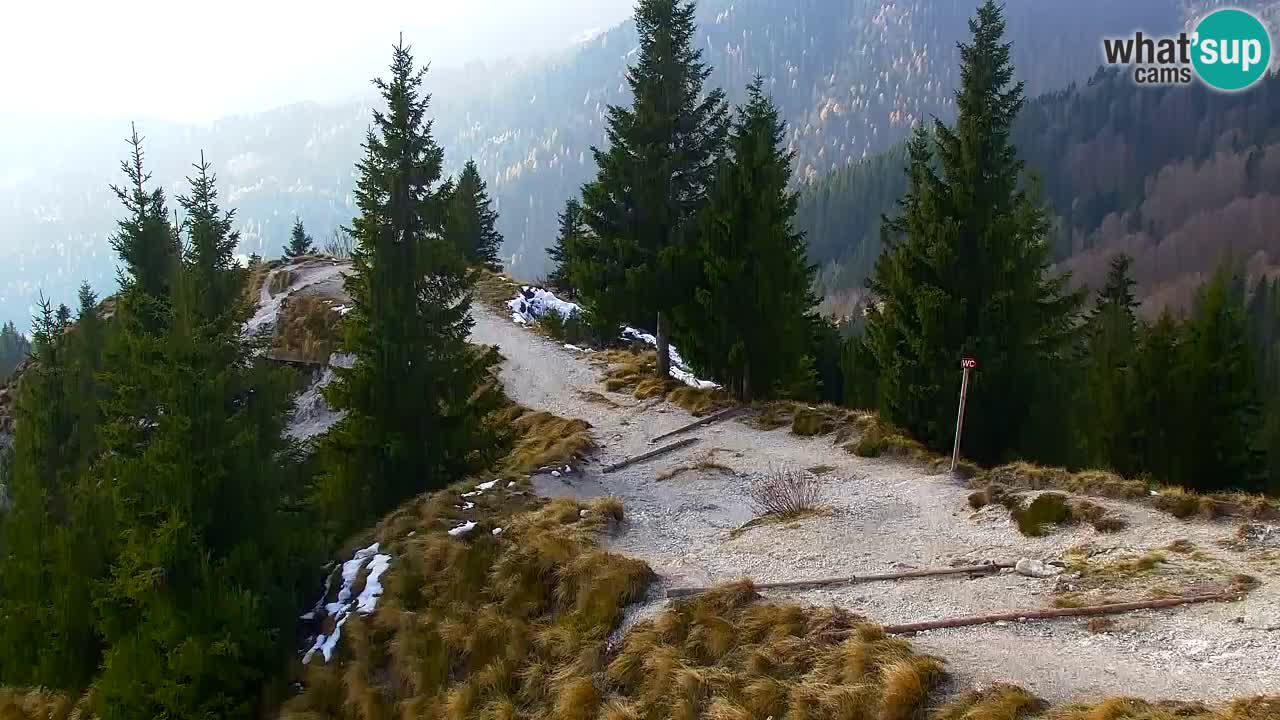 Koča na Golici Webcam (1582 m) – Slowenien